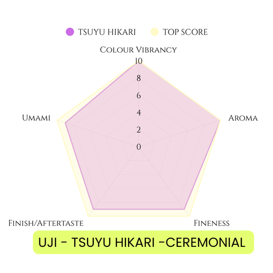 UJI - TSUYU HIKARI (TY35) CEREMONIAL MATCHA 1KG(2.2LBS) BAG