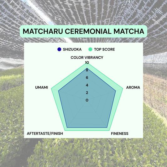 30g/1.05oz - Matcha Sample – Shizuoka Ceremonial Matcha ST23