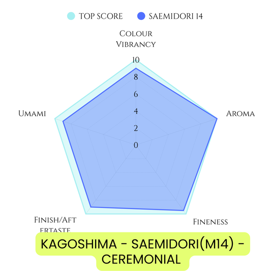 UJI - SAEMIDORI - CEREMONIAL MATCHA (MA14) – Value Pouch 100g/3.52oz