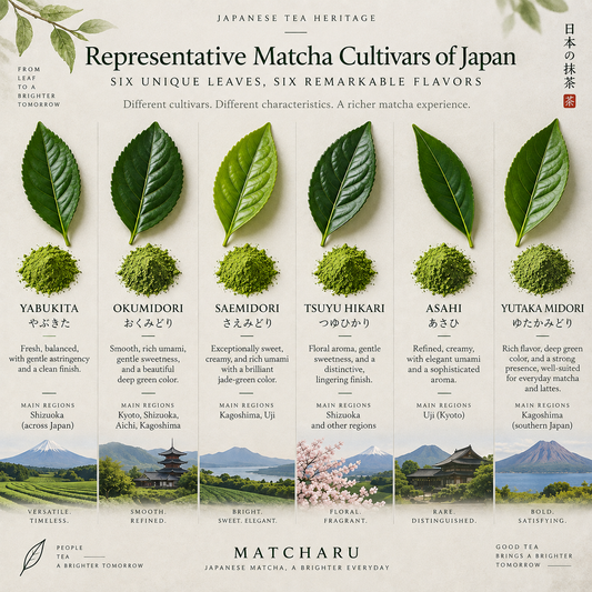 Why Japan Has So Many Matcha Cultivars: A Guide to the Tea Varieties Behind Great Matcha