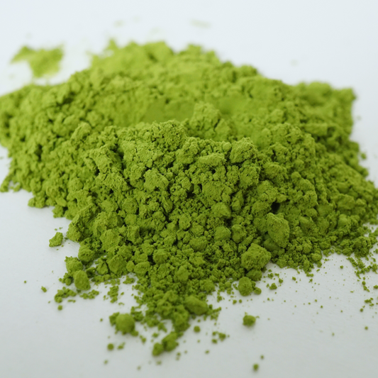 SHIZUOKA CULINARY MATCHA – 1000g (2.2lbs) Bulk Bag