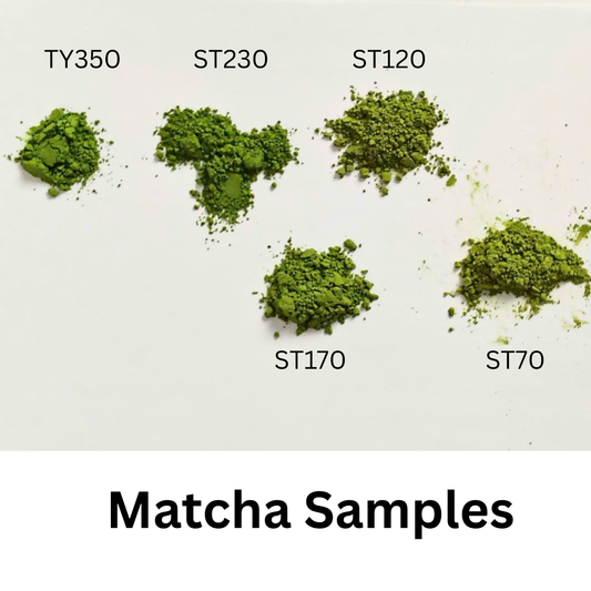 SPECIAL MATCHA SAMPLES For WHOLESALE/BULK